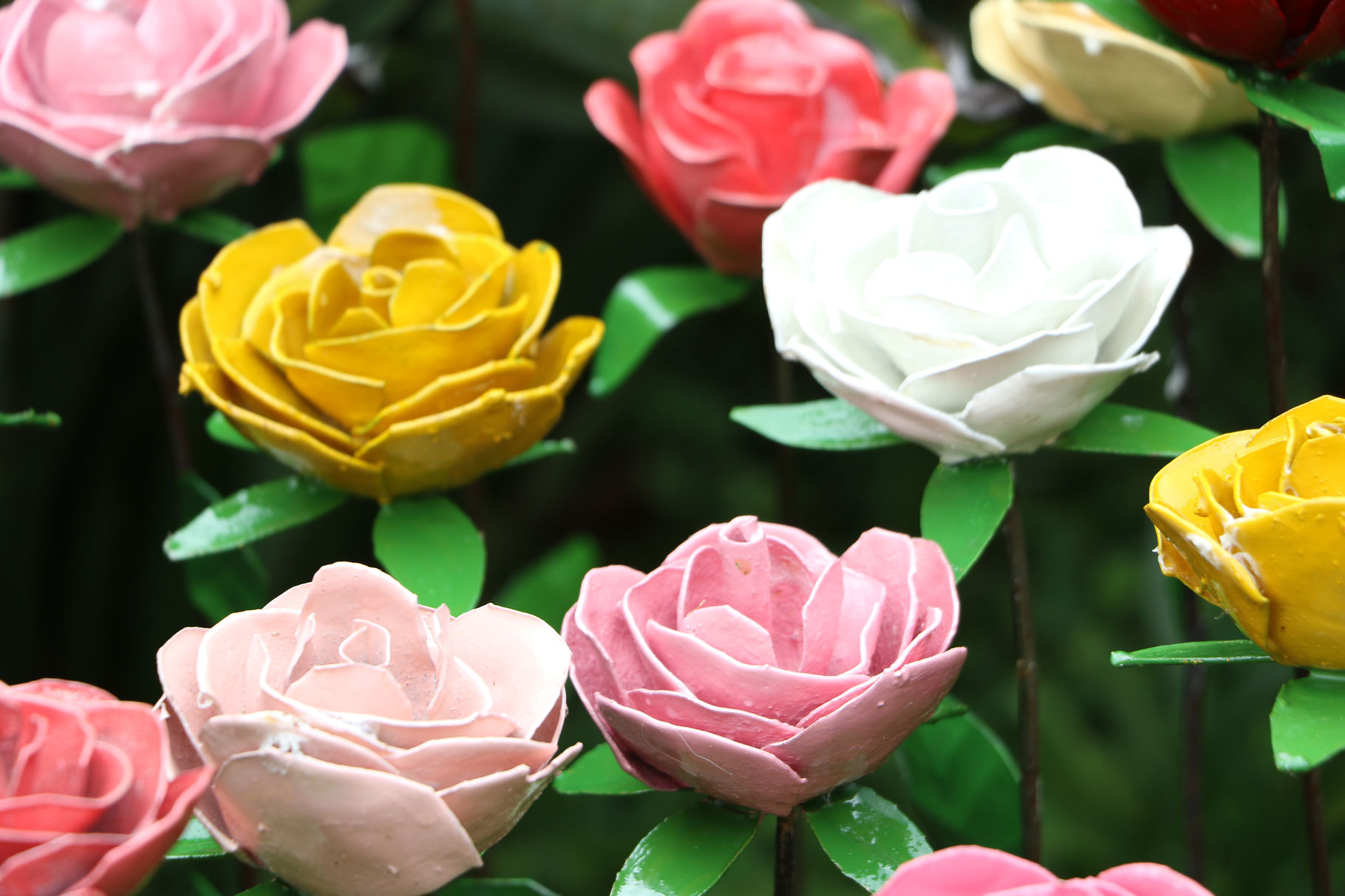 Rosen in verschiedenen Farben von Shona Art