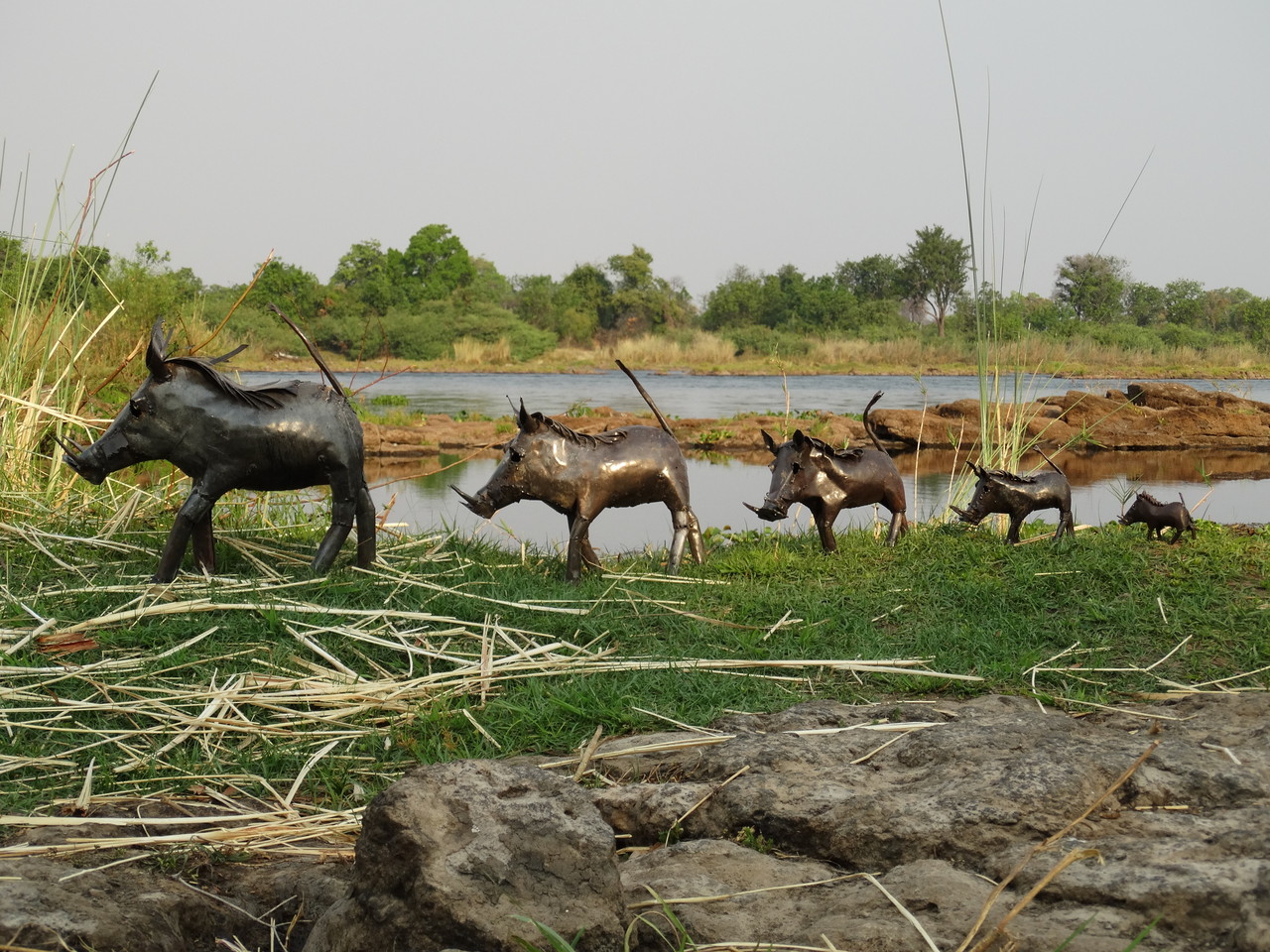 warthogs in Zimbabwe - Photo by Shona Art