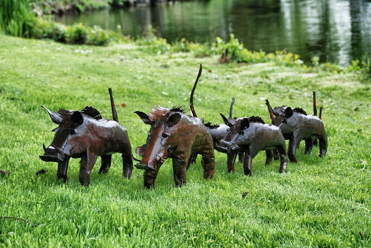 warthogs in Europe - Photo by Shona Art
