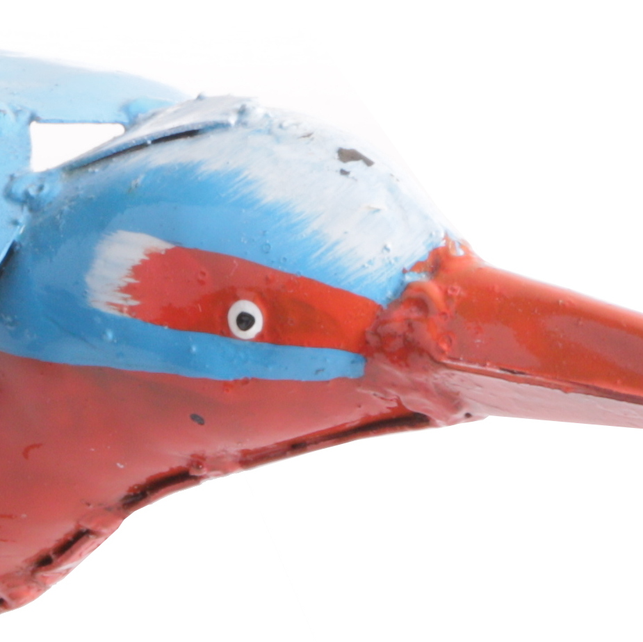 kingfisher detail